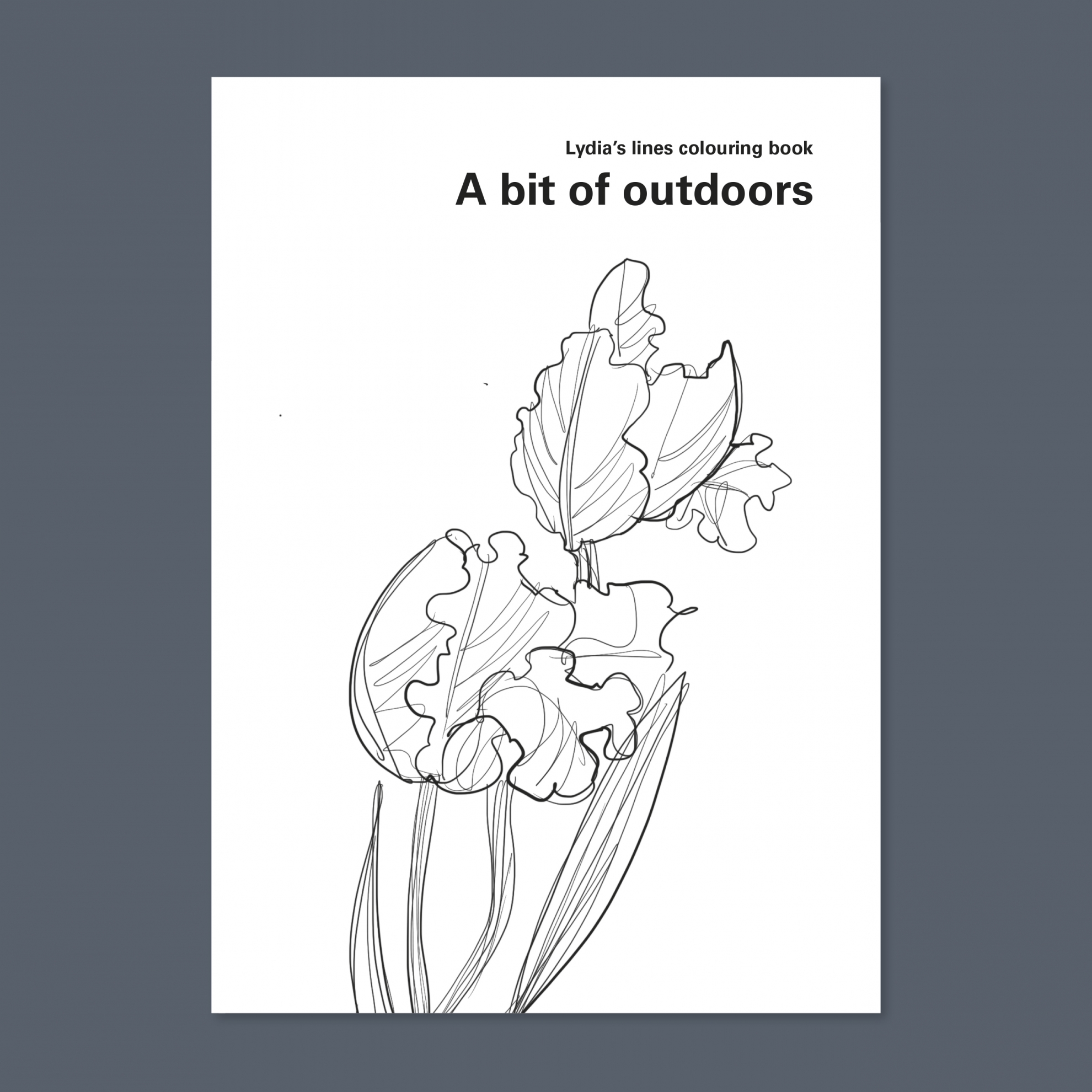 Lydia Thornley colouring books: outdoors (cover)