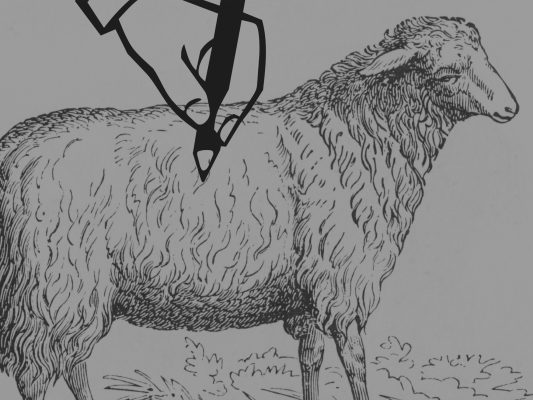 Nerd Nite pencils talk detail of slide about sheep marking