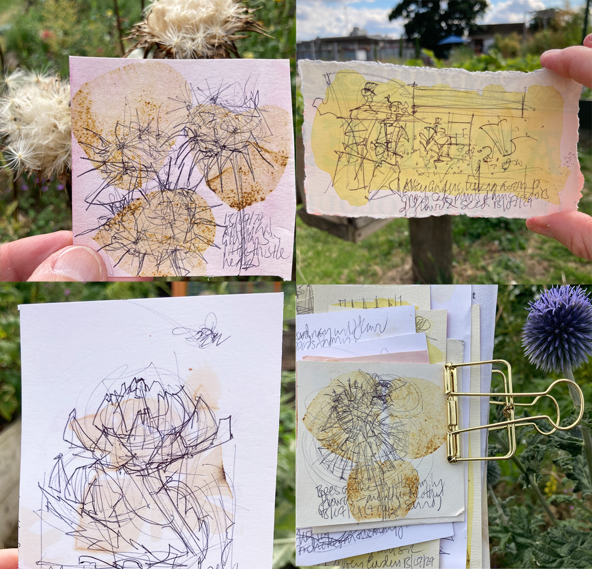 A selection of live sketches of people and plants at the Abbey Gardens Dialogues of Space event. The drawings are in line on reused paper with natural ink and eco-printed washes