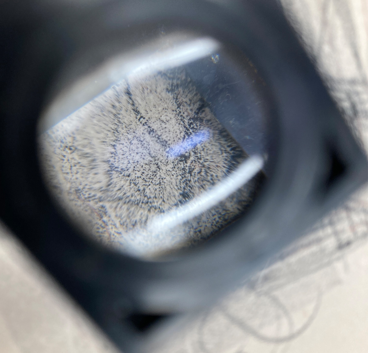 View of my drawing on a litho stone through a linen tester (folding magnifying glass)
