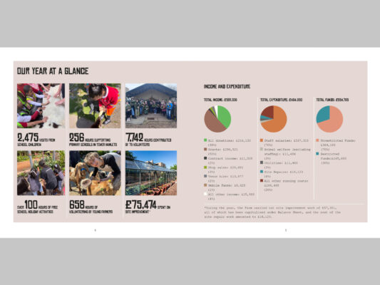 Year at a glance spread, with statistics, pictures and charts