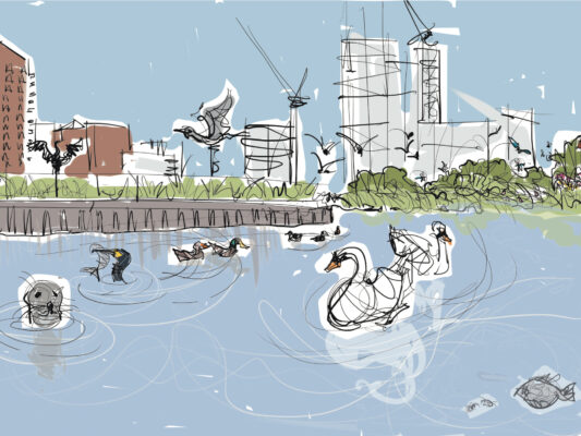 High tide on the Lea showing a number of species on and by the water