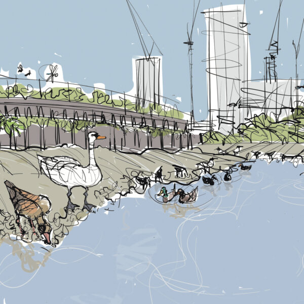 Detail of illustration of River Lea at low tide seen from Cody Dock, showing a number of species at water's edge