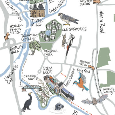 Section of the illustrated map