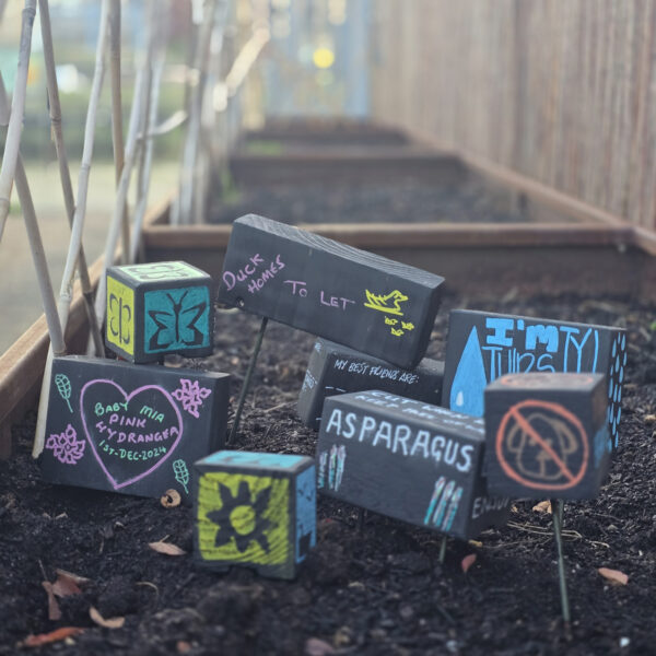The finished plant labels from the workshop, placed in one of the raised planting beds
