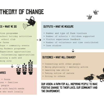 Detail of Theory of Change