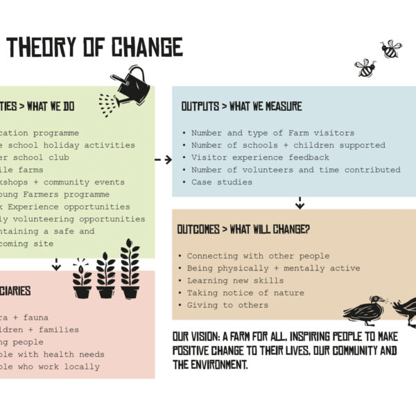 Detail of Theory of Change