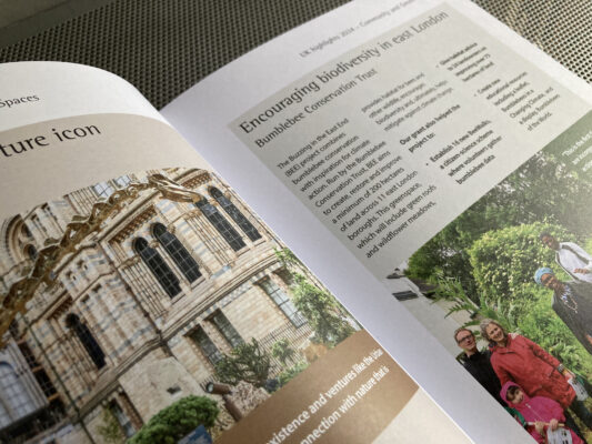 Detail of case study spread showing pictures on facing pages