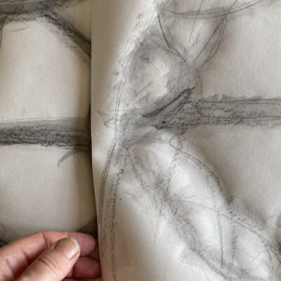 Two tracings of shadows from leaded windows, on lining paper, with Lydia's hand for scale