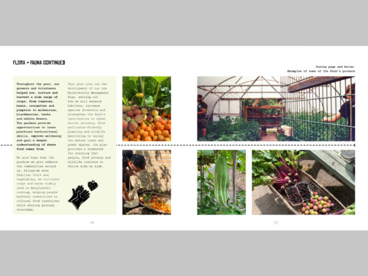 Spread showing pictures of Farm produce